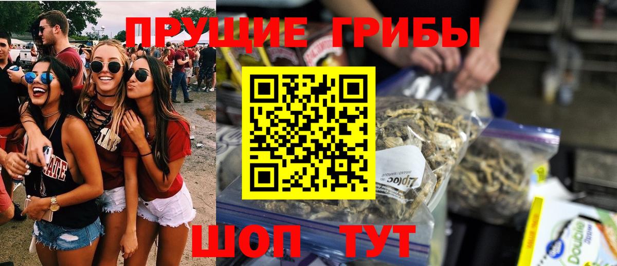 Нижнекамск  Псилоцибиновые грибы мицелий  Вход с VPN  цена наркотик  Галлюциногенные грибы мухоморы 