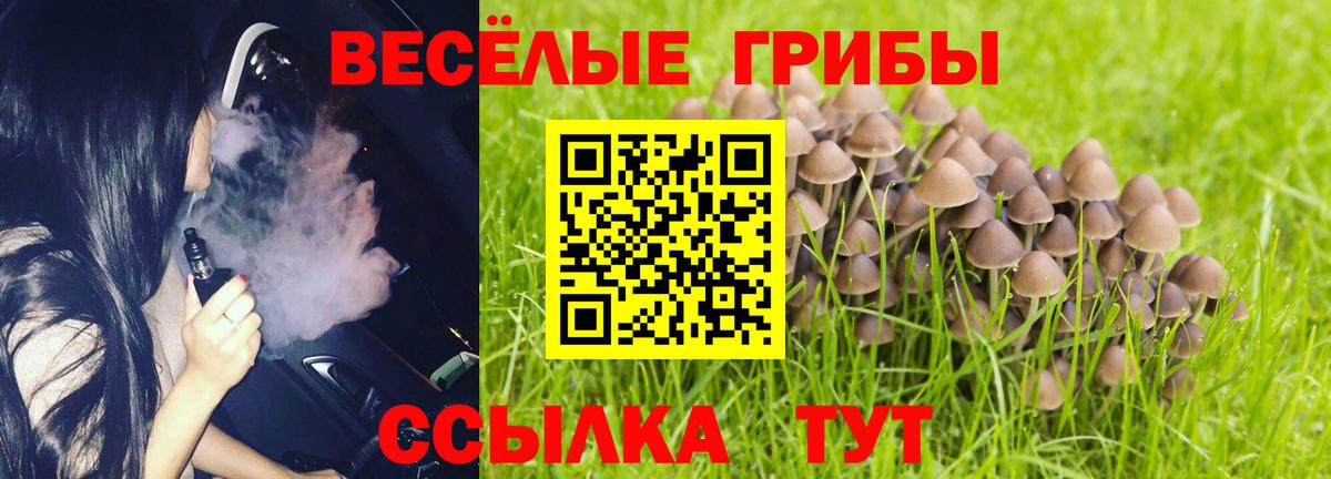 Псилоцибиновые грибы Psilocybine cubensis Нижнекамск